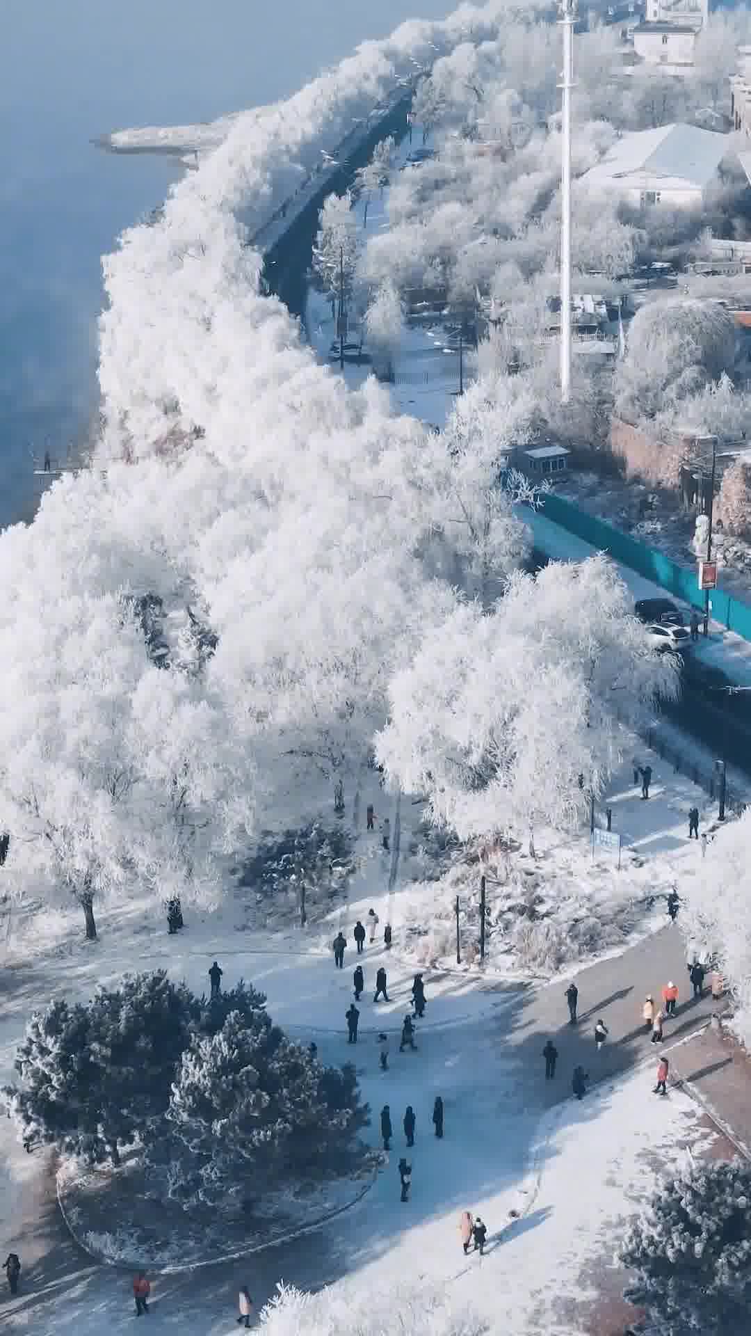 吉林，文化传承与创新共绘发展新篇章