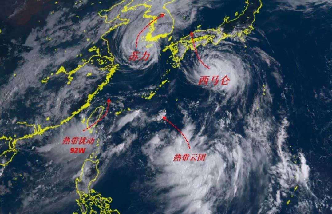 福建，历史与现代交融，文化与经济盛宴的展现