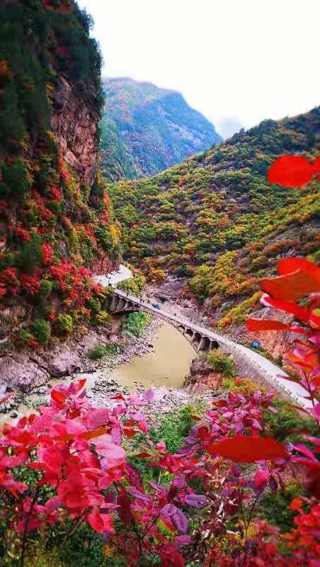 陕西之声，尊敬的听众朋友们，共赴美好时光