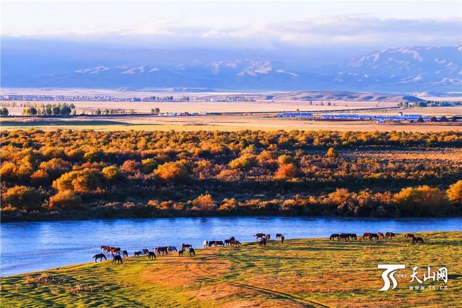 新疆,播音稿里的美丽富饶之地